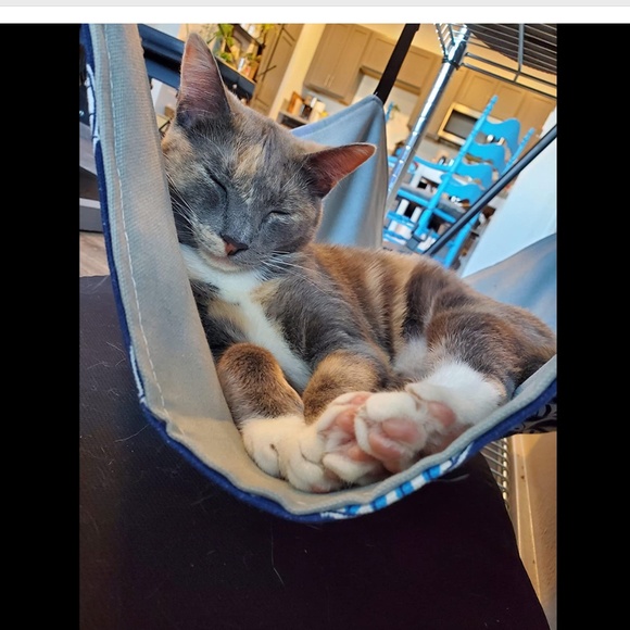 NEW Comfortable Hanging Adjustable Pet Hammock Bed for Cats/Small Dogs/Rabbits - Picture 13 of 13